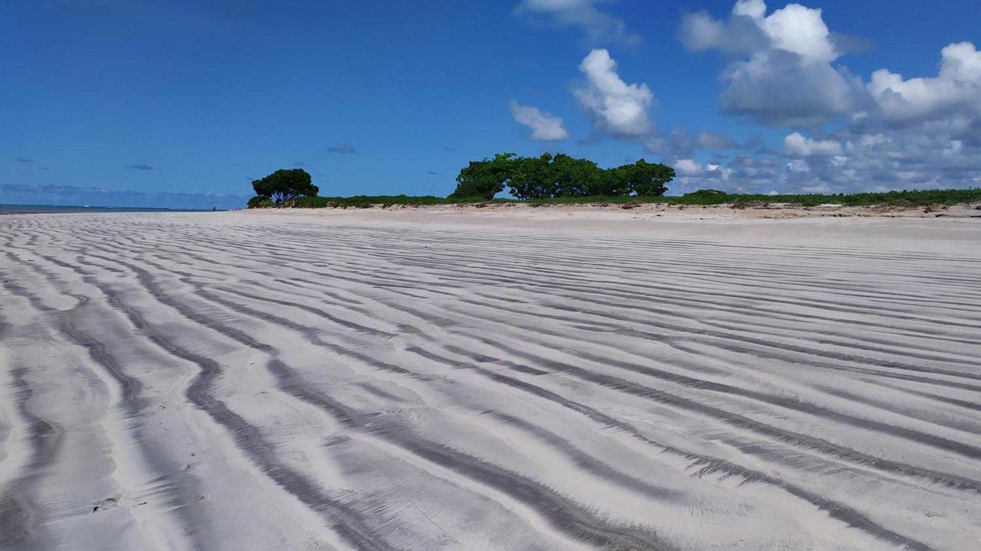 Recanto Das Folhas Paripueira Cameră foto